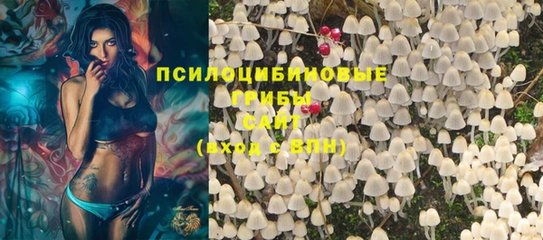 твердый Володарск