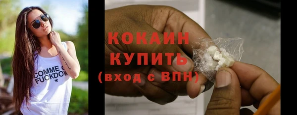 твердый Володарск