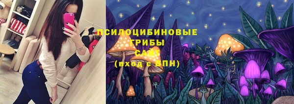 МДПВ Волосово