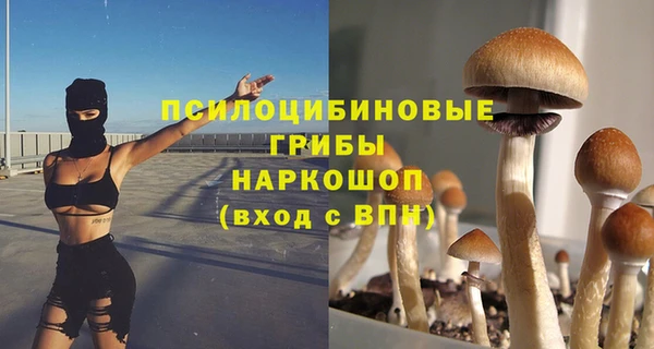 МДПВ Волосово