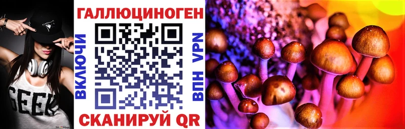 Псилоцибиновые грибы Psilocybe  Лысково 